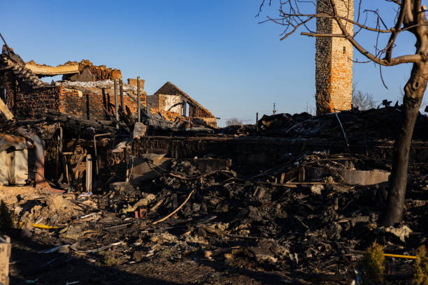 Reliable Board Up Services contractor in Valrico, FL by Fire Damage Doption